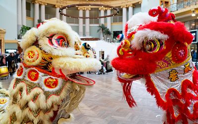 Vier Chinees Nieuwjaar in Utrecht: deze acties en events wil je niet missen