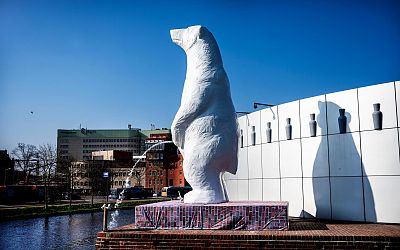 Aanschouw hier het nieuwste kunstwerk van Groningen: de Pissende IJsbeer - Dagblad van het Noorden