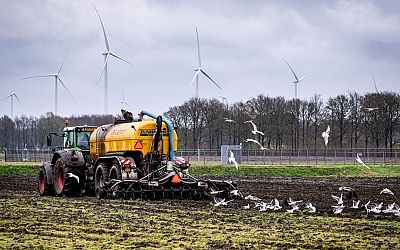 Boerenorganisatie komen met eigen 'crisisplan' voor mestproblematiek