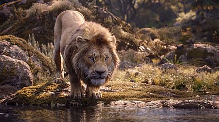 Prachtige teaser trailer van Disney's 'Mufasa: The Lion King'