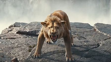 'Mufasa'-regisseur zegt dat de film zowel een prequel als een vervolg is op 'The Lion King'