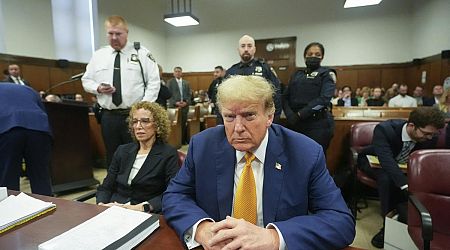 Pornoster Stormy Daniels getuigt in zaak tegen Trump: 'Verloor mijn bewustzijn' - BNR Nieuws