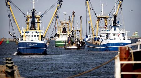 Onderzoeker: snel ingrijpen nodig om verzekeren toekomst visserij