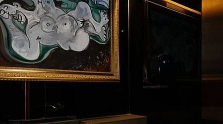 Australisch museum hangt vrouwentoilet vol met Picasso's om gerechtelijke uitspraak te omzeilen - De Gelderlander