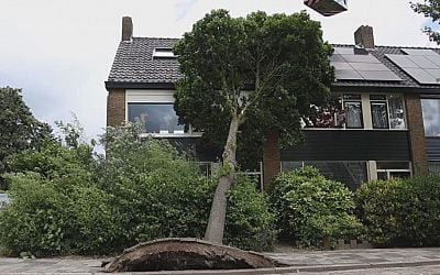 Bomen waaien op huizen en auto's: eerste zomerstorm van dit jaar een feit - Hart van Nederland