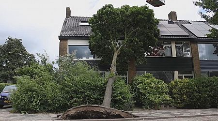 Bomen waaien op huizen en auto's: eerste zomerstorm van dit jaar een feit - Hart van Nederland