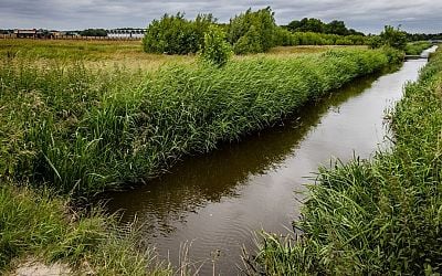 Onmiddellijk actie van bedrijven vereist om PFAS terug te dringen