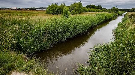 Onmiddelijk actie van bedrijven vereist om PFAS terug te dringen