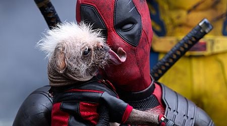 'Deadpool & Wolverine' is opnieuw een enorme hit, dit keer op Disney+