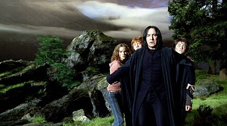 Na drie decennia is er iets "gruwelijks" ontdekt over 'Harry Potter'