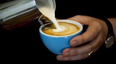 Koffieprijs stijgt verder, hoogste niveau in veertig jaar