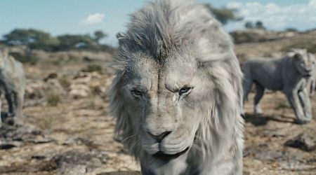 Disney wordt keihard afgetroefd: nieuwe 'The Lion King' legt het af tegen ander CGI-figuur