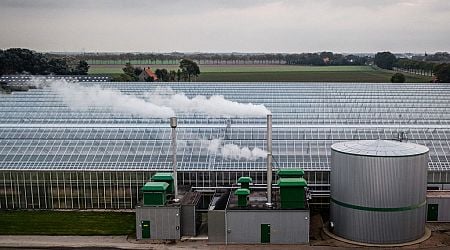 Waarom CO2 uitstoten nu zo goedkoop is dat het verduurzaming tegenhoudt