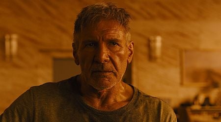 Harrison Ford gaat gedwongen mee met politie: huis en leven in gevaar