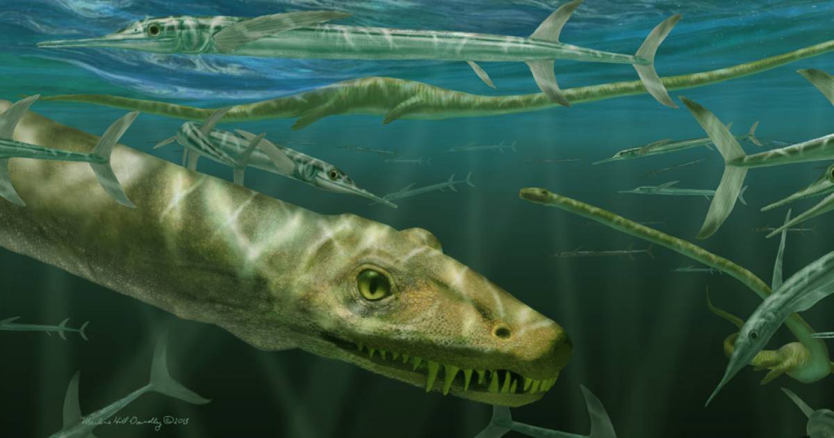 Onderzoekers ontdekken fossiel van 240 miljoen jaar oude 'Chinese draak' - AD