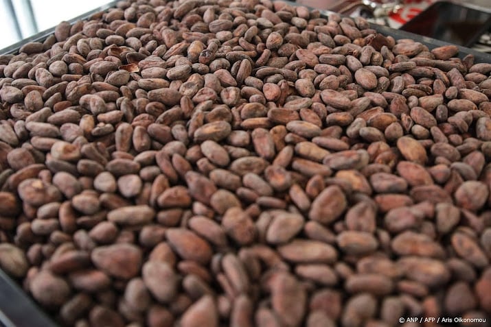 Cacaoboeren gaan in Brussel protesteren tegen lage prijzen