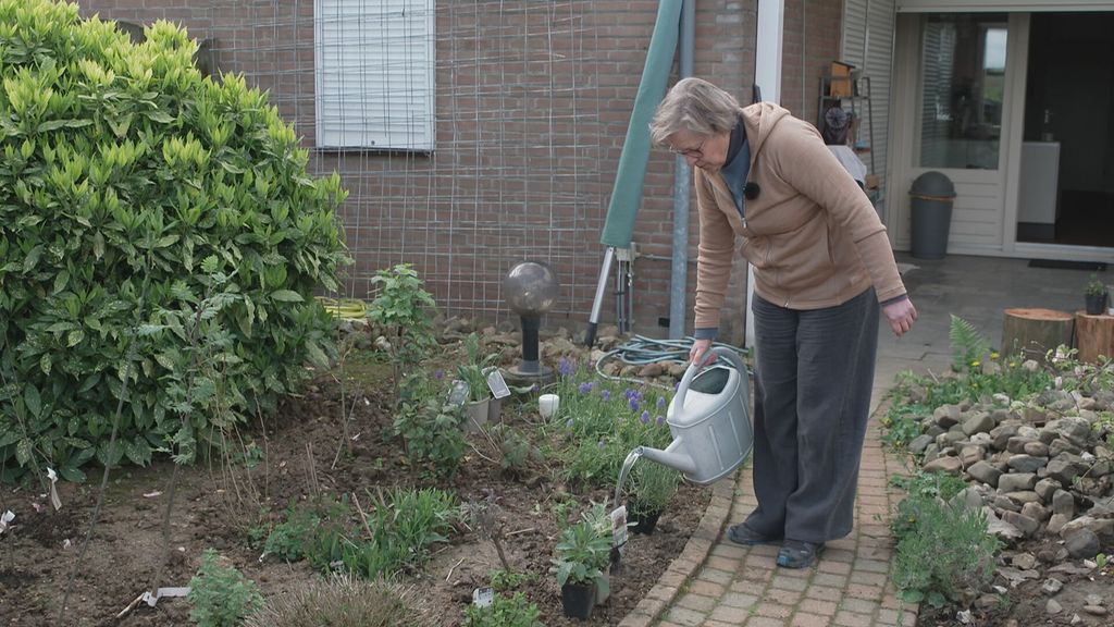 Steeds meer Nederlanders maken serieus werk van vergroenen tuin