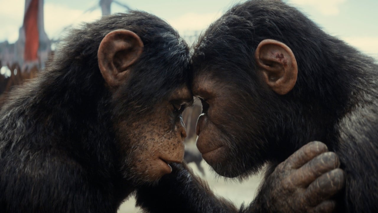 Laatste epische trailer voor 'Kingdom of the Planet of the Apes'