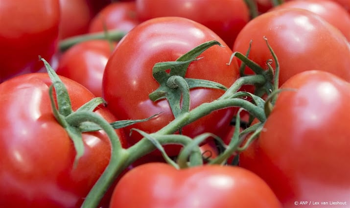 50.000 euro boete voor maken illegaal middel tegen tomatenvirus