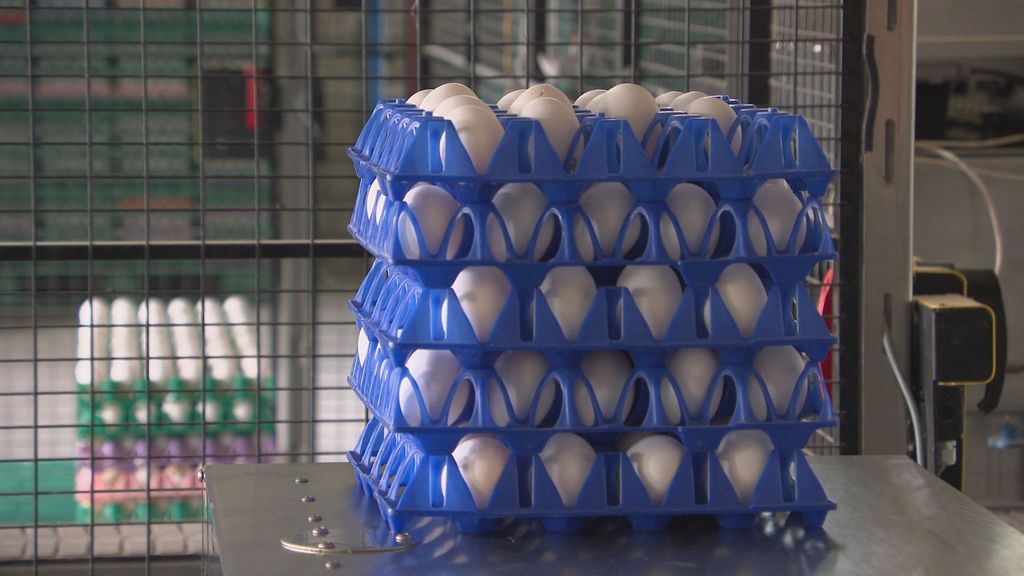 Bruin ei verdwijnt langzaam uit supermarkten, maar waarom?
