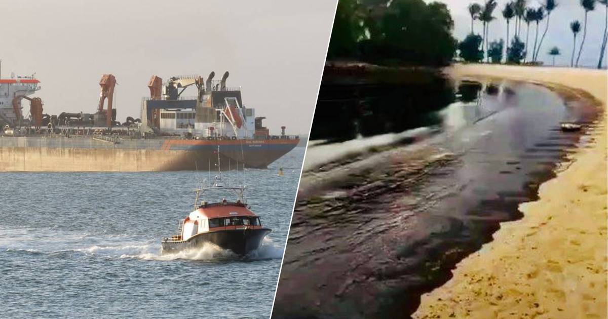 Enorme olievlek verspreidt zich verder en bedreigt zeereservaat, na botsing met Nederlands schip - AD