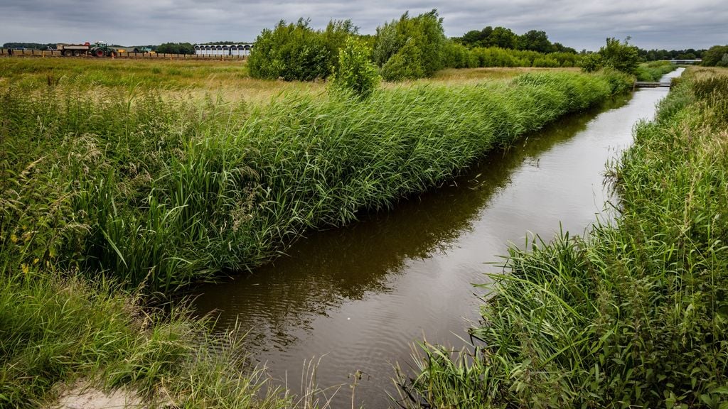 Onmiddelijk actie van bedrijven vereist om PFAS terug te dringen