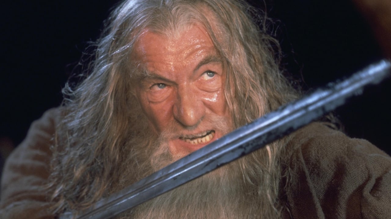 In 2025 krijgt 'The Lord of the Rings' weer twee grote en herkenbare LEGO-sets